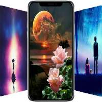 Dream Night Free Wallpaper