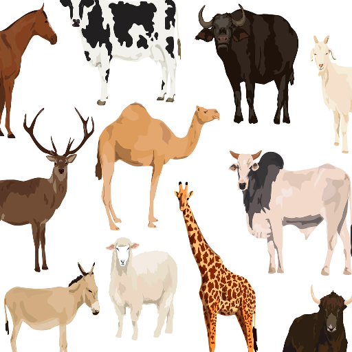 Learn about Animals icon