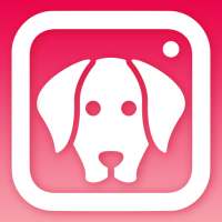 DogCam - Dog Selfie Filters and Camera on 9Apps