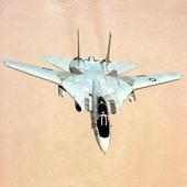 F-14 Tomcat Wallpapers FREE on 9Apps