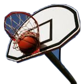 basket the ball icon
