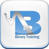 Binary Training