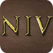 NIV Audio Bible on 9Apps