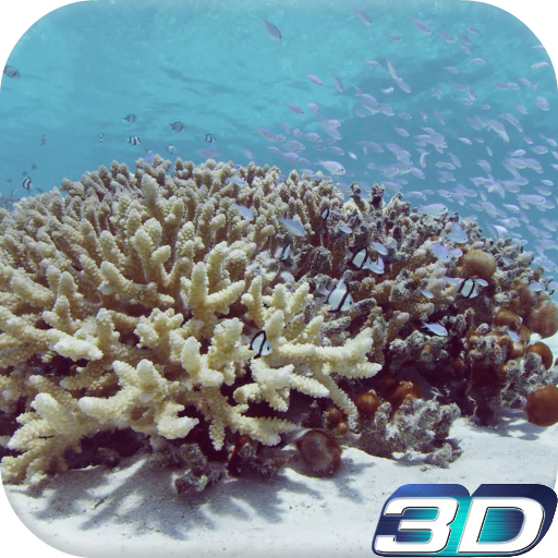 Sea Life Video Live Wallpaper icon