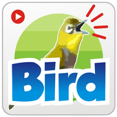 Sound Bird Singing icon