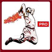Basketball Moves PRO icon
