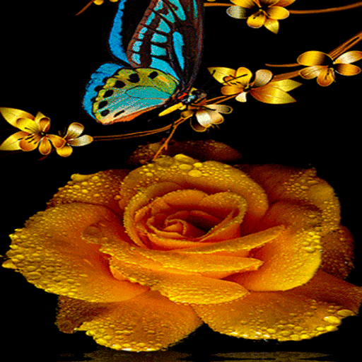 Golden Rose Live Wallpaper icon