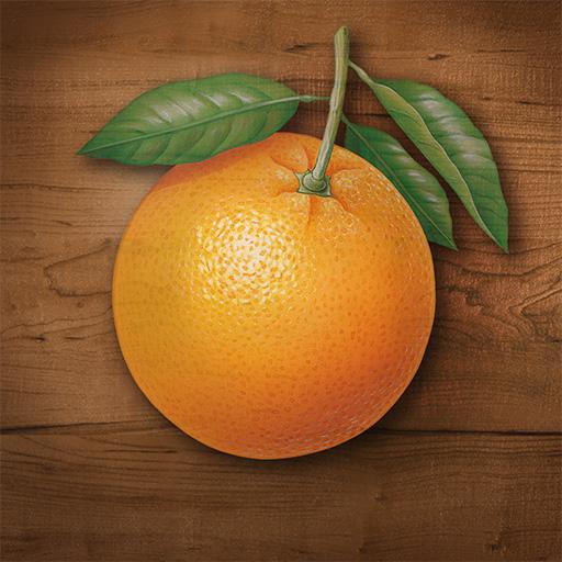 My Port Orange icon