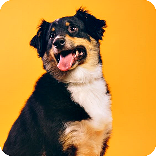 Dogs Wallpaper icon