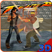 Ninja Warrior Kung Fu Fighting icon