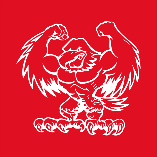 Fan-App Stefan Kraft icon