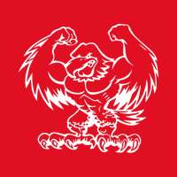 Fan-App Stefan Kraft