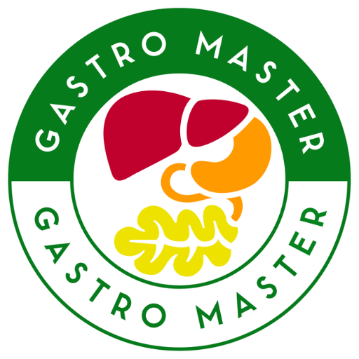 GASTRO MASTER icon