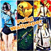 4k Wallpapers For Pubg icon