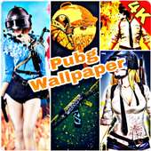 4k Wallpapers For Pubg