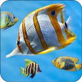 Fish Aquarium Live Wallpaper 3D Screensaver Free on 9Apps