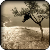 Sepia Wallpapers icon