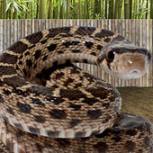 Survival Snake - Light icon