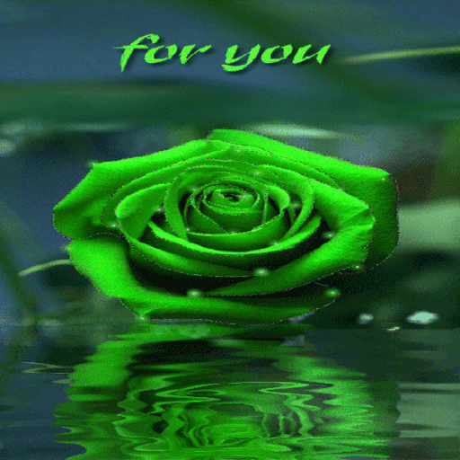 Green Rose For You LWP icon