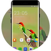 Colorful Birds Theme for Samsung Galaxy Fame Lite icon