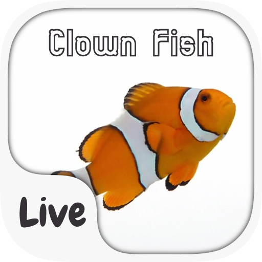 Clown Fish Live Keyboard Theme icon