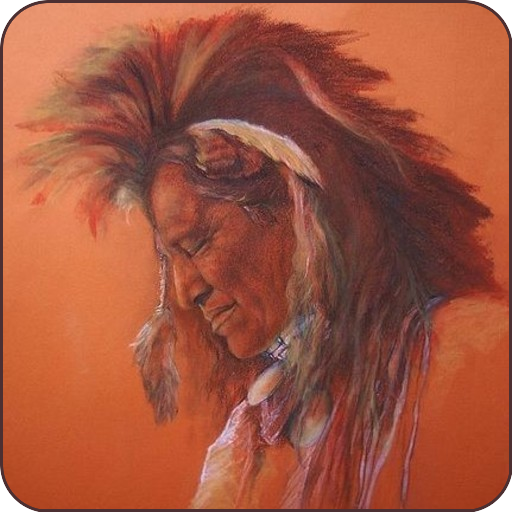 Native Wallpaper icon