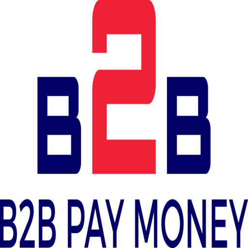 B2B Pay Money icon