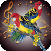 Bird Ringtones icon