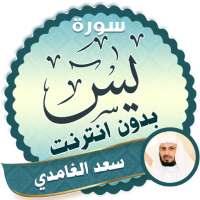 surah yasin full Saad Al Ghamidi Offline on 9Apps