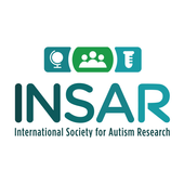INSAR icon