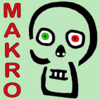 Skeletto-Makro Anatomie