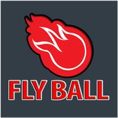 Fly Ball icon