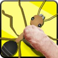 Cat Toys - AntHunt Cat Games