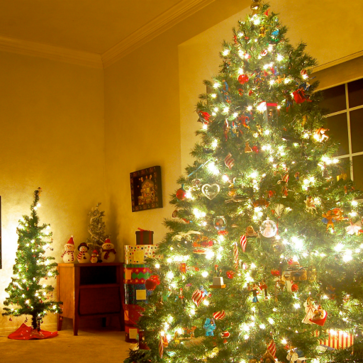 Merry Christmas Fun Games icon