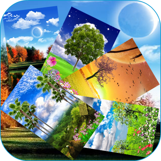 Auto Change Live Wallpaper icon