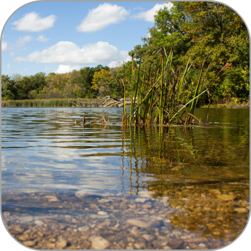 Small Backwater HD Wallpaper icon