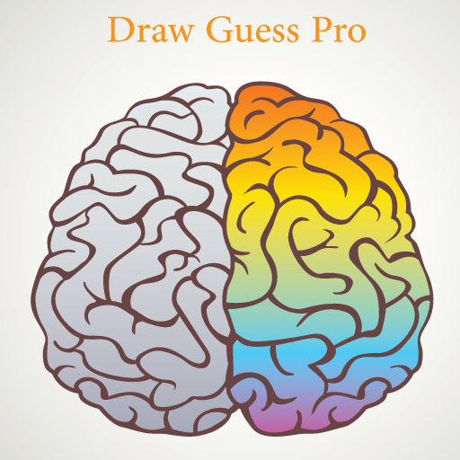 ikon Draw Guess Pro