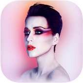 App For Katy Perry Video Album Songs on 9Apps