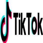 TikTok Videos