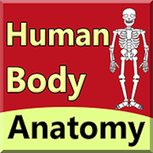 Body Anatomy Guide иконка