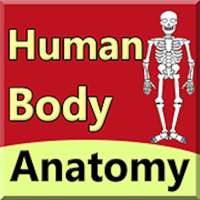 Body Anatomy Guide on 9Apps