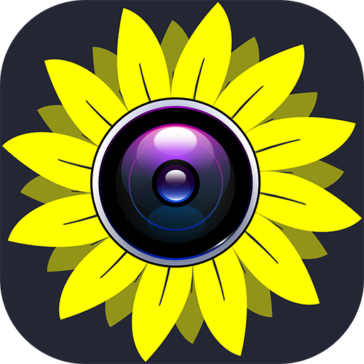 Photo Gallery - Album, Vault icon