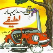 Urdu Lateefay icon