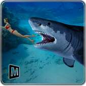 Blue Angry Shark 2016