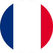 France TV Info icon
