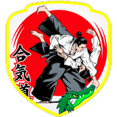 Aikido Training (Guide) icon