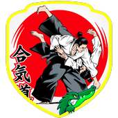 Aikido Training (Guide)