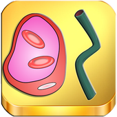 Varicose Veins, How To Safely Remove Them Safely icon