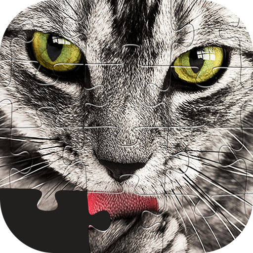 Cat Jigsaw Puzzle icon