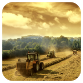 Farm Jigsaw icon